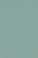 ST Relax Green 735.jpg