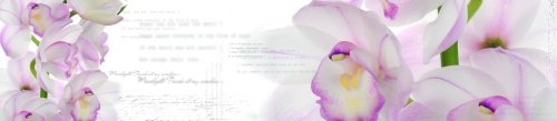 ЦБ-00006146_20160210T1311.jpg