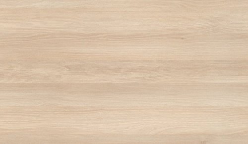 H1277_9_акация лэйклэнд светлая